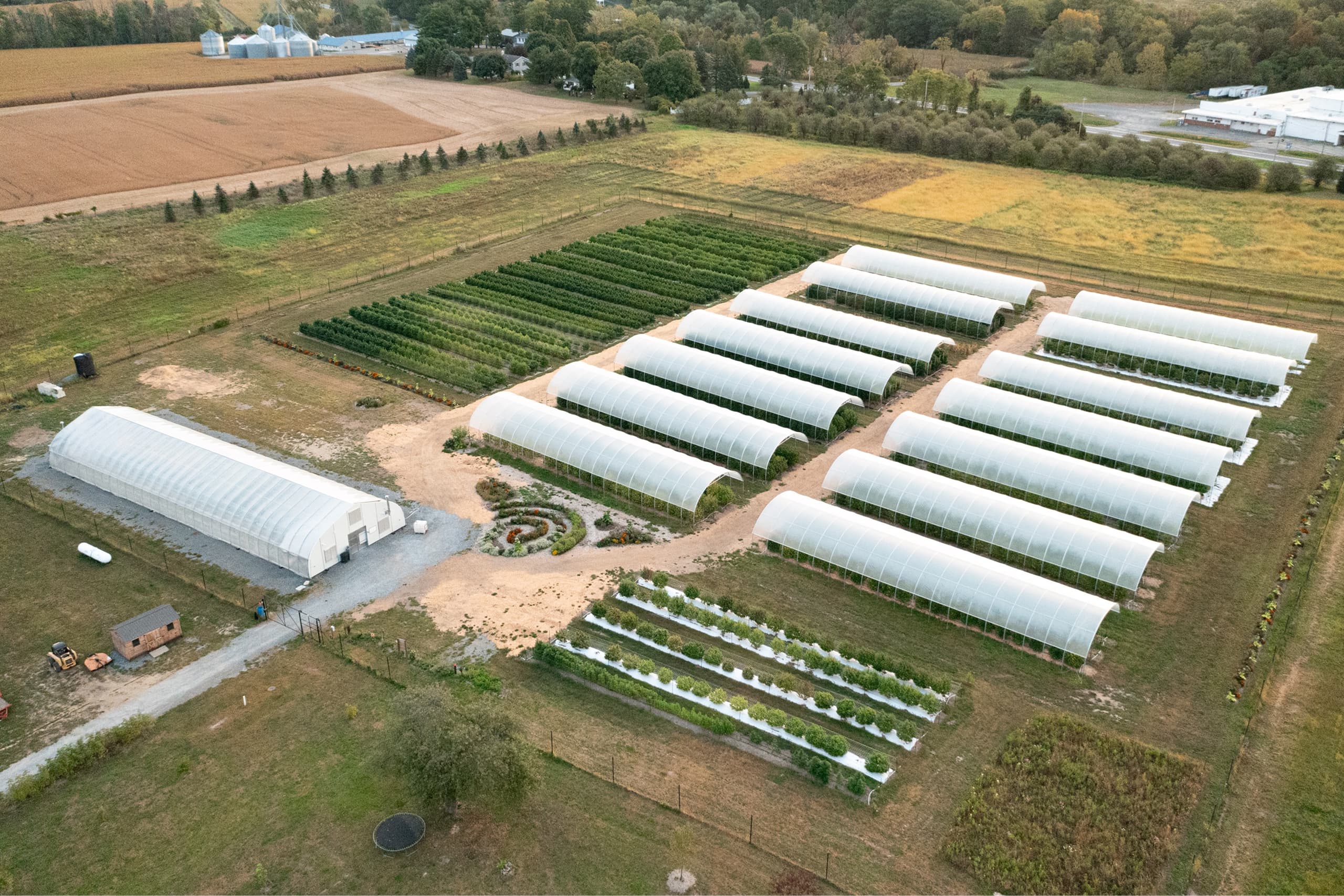 Hudson Cannabis